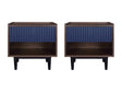 Duane Nightstand in Dark Brown and Navy Blue (set of 2) by Manhattan Comfort at Eve Furniture