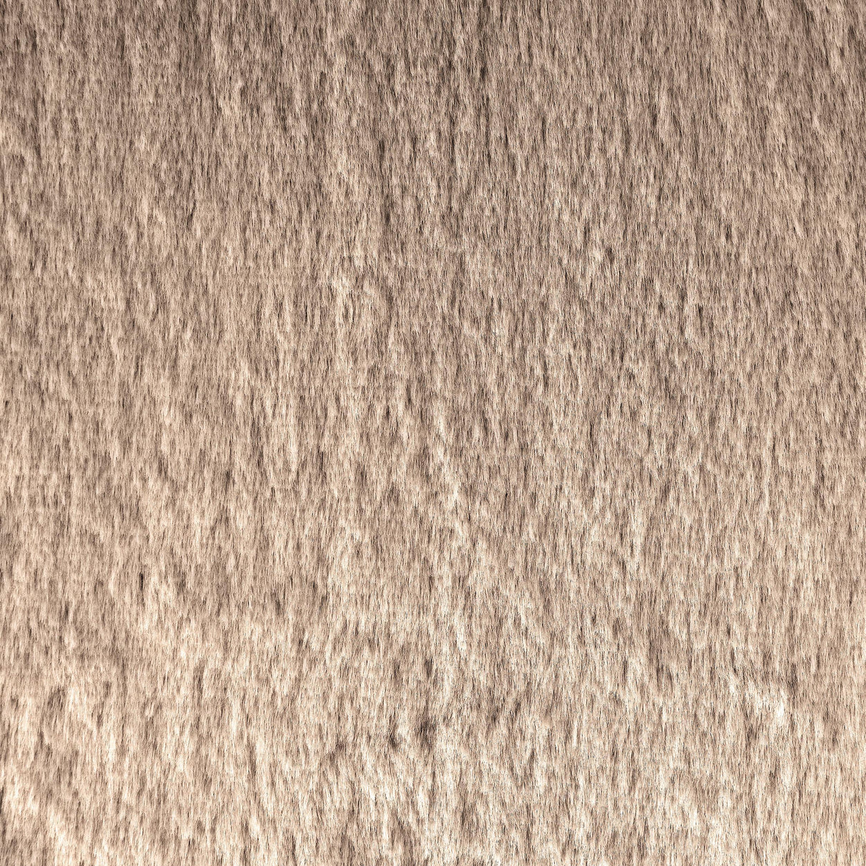 Duffie Camel Upholstered Armless Accent Chair by Coaster at Eve Furniture