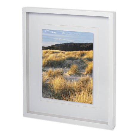 DUNE GRASS & BEACH III by DENNIS FRATES a Framed Photo Art Print Matted under Glass by Mercana at Eve Furniture