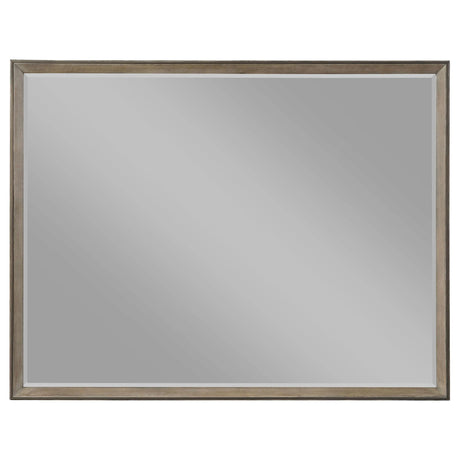 Durango Washed Oak 8-drawer Dresser Mirror by Coaster at Eve Furniture