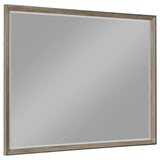 Durango Washed Oak 8-drawer Dresser Mirror by Coaster at Eve Furniture