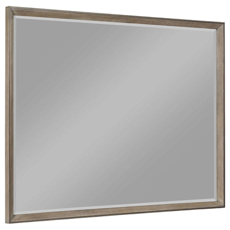 Durango Washed Oak 8-drawer Dresser Mirror by Coaster at Eve Furniture
