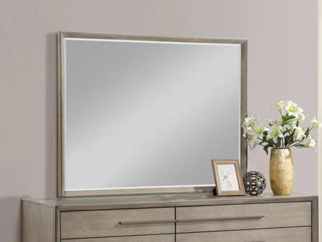 Durango Washed Oak 8-drawer Dresser Mirror by Coaster at Eve Furniture
