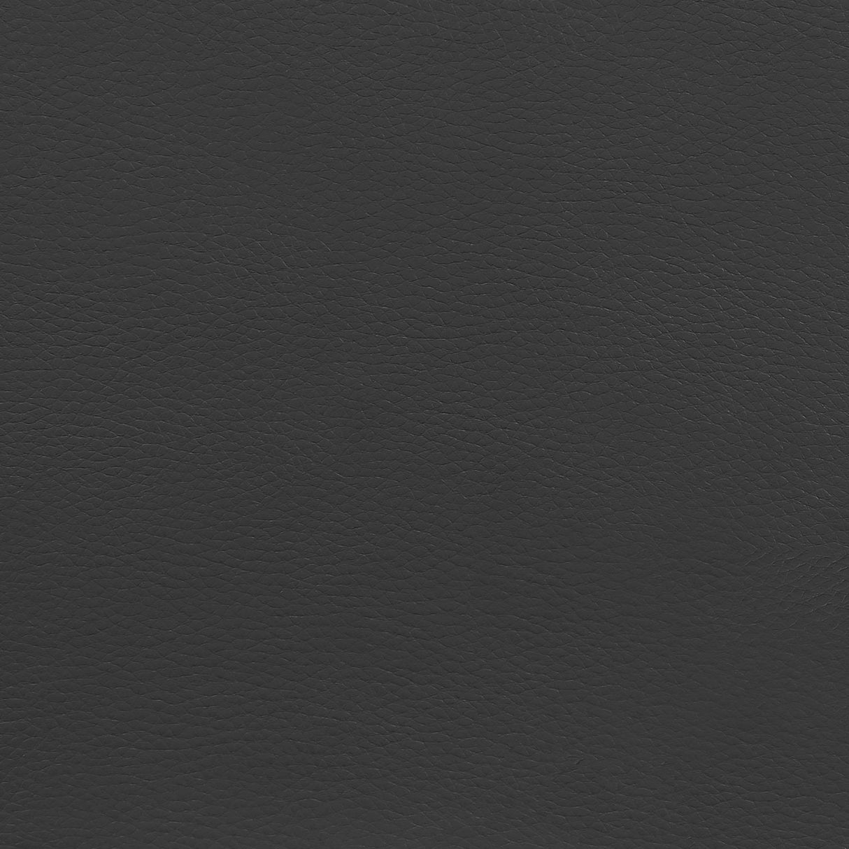 Dustin Black/Silver Adjustable Height Office Chair by Coaster at Eve Furniture