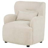 Duvall Beige HP0426 Accent Chair by Coaster at Eve Furniture
