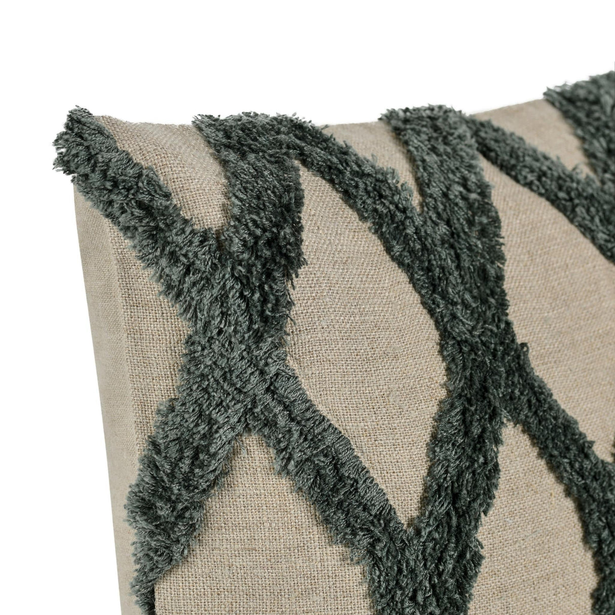 DV Caro Forest Green 14x20 Throw Pillow (Set of 2) by Classic Home at Eve Furniture