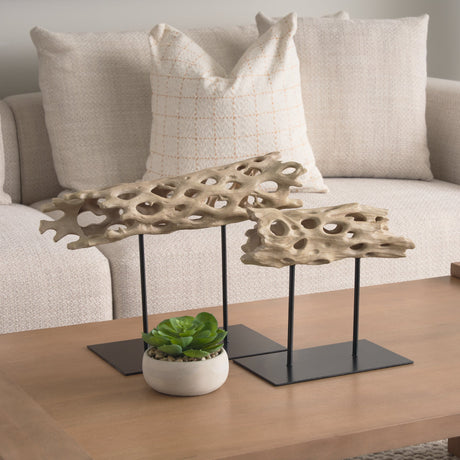 Dwell Cholla Wood Resin Decorative Object by Mercana at Eve Furniture