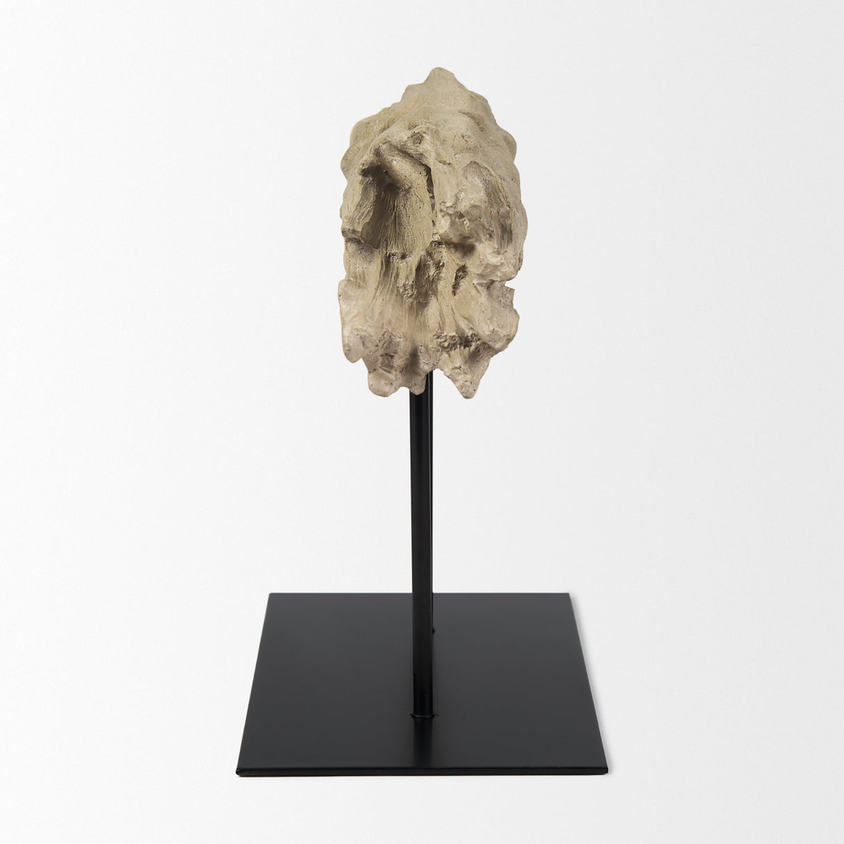 Dwell Cholla Wood Resin Decorative Object by Mercana at Eve Furniture