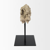 Dwell Cholla Wood Resin Decorative Object by Mercana at Eve Furniture