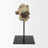 Dwell Cholla Wood Resin Decorative Object by Mercana at Eve Furniture