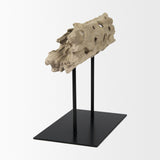 Dwell Cholla Wood Resin Decorative Object by Mercana at Eve Furniture