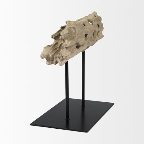 Dwell Cholla Wood Resin Decorative Object by Mercana at Eve Furniture