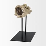 Dwell Cholla Wood Resin Decorative Object by Mercana at Eve Furniture