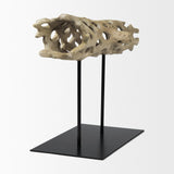 Dwell Cholla Wood Resin Decorative Object by Mercana at Eve Furniture