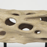 Dwell Cholla Wood Resin Decorative Object by Mercana at Eve Furniture