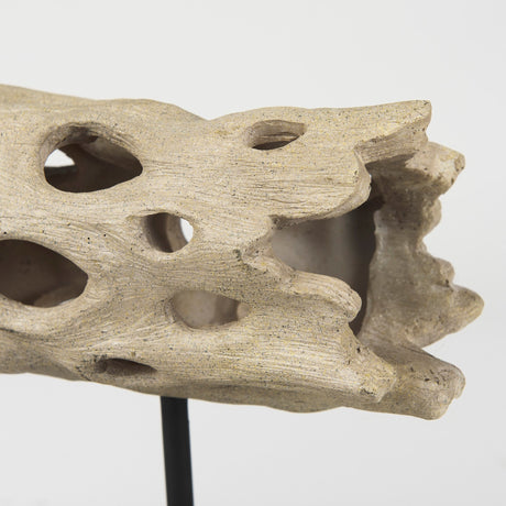 Dwell Cholla Wood Resin Decorative Object by Mercana at Eve Furniture