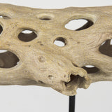 Dwell Cholla Wood Resin Decorative Object by Mercana at Eve Furniture