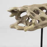 Dwell Cholla Wood Resin Decorative Object by Mercana at Eve Furniture