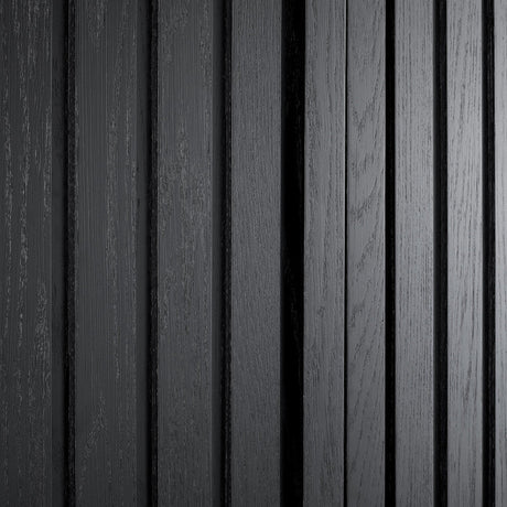 Dylan Black Shoe Cabinet by Crestview at Eve Furniture