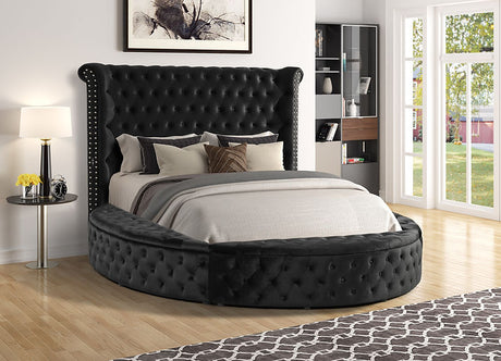 Lux II (USB Charger) Black King Platform Bed by New Era Innovations at Eve Furniture