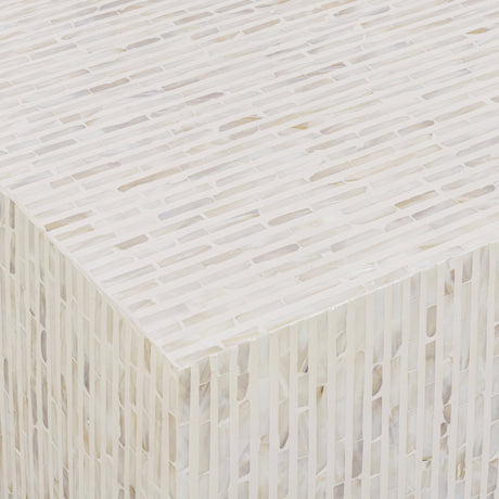 Earl 48" Shell Rectangular Coffee Table by TOV Furniture at Eve Furniture