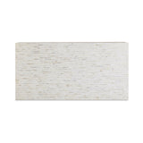 Earl 48" Shell Rectangular Coffee Table by TOV Furniture at Eve Furniture