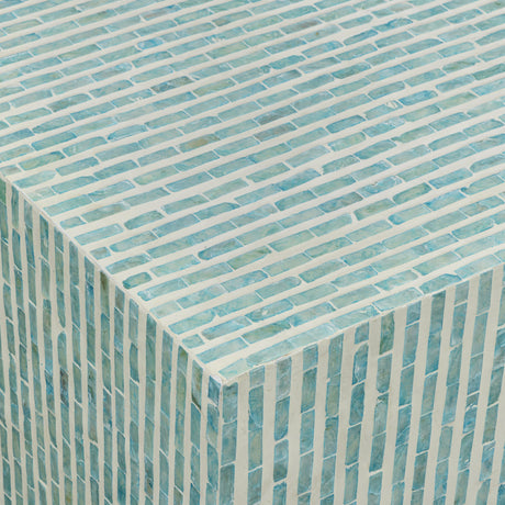 Earl 48" Shell Rectangular Coffee Table by TOV Furniture at Eve Furniture