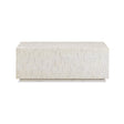 Earl 48" Shell Rectangular Coffee Table by TOV Furniture at Eve Furniture