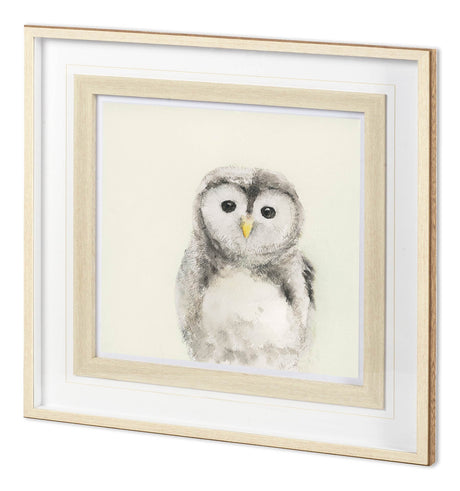 Easter Newborn II by PanPan a Framed Art Print Matted under Glass by Mercana at Eve Furniture