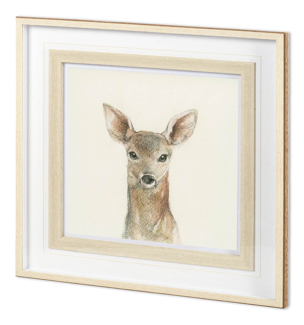 Easter Newborn III by PanPan a Framed Art Print Matted under Glass by Mercana at Eve Furniture