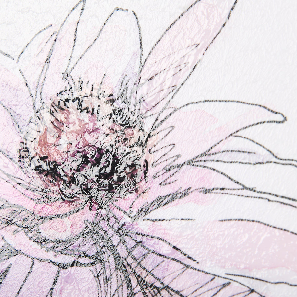 Echinacea I by Mercana Studio a Hand Embellished Textured Framed Art Print by Mercana at Eve Furniture