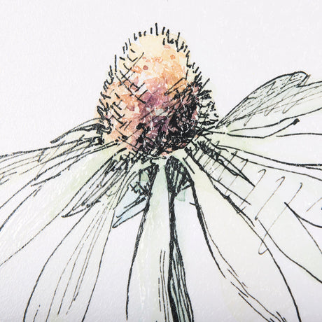 Echinacea I by Mercana Studio a Hand Embellished Textured Framed Art Print by Mercana at Eve Furniture