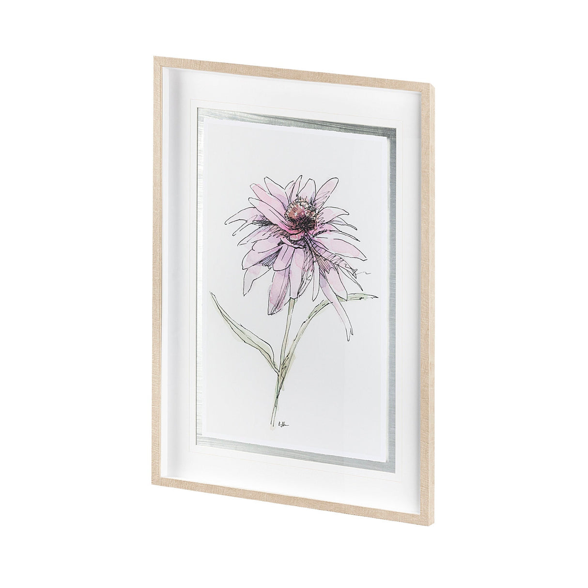 Echinacea I by Panpan Zhang a Framed Art Print Matted under Glass by Mercana at Eve Furniture