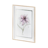 Echinacea I by Panpan Zhang a Framed Art Print Matted under Glass by Mercana at Eve Furniture