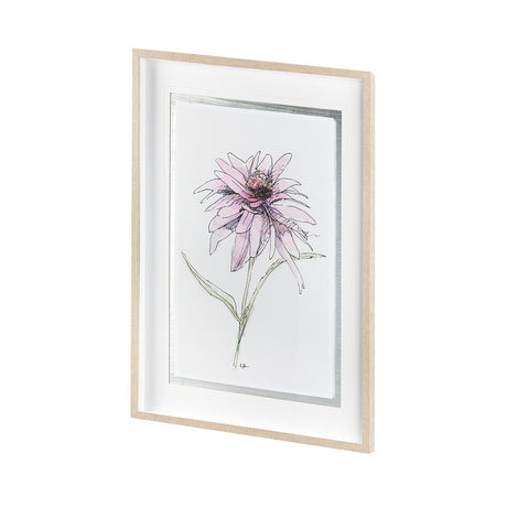 Echinacea I by Panpan Zhang a Framed Art Print Matted under Glass by Mercana at Eve Furniture