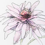 Echinacea I by Panpan Zhang a Framed Art Print Matted under Glass by Mercana at Eve Furniture
