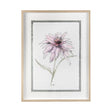 Echinacea I by Panpan Zhang a Framed Art Print Matted under Glass by Mercana at Eve Furniture