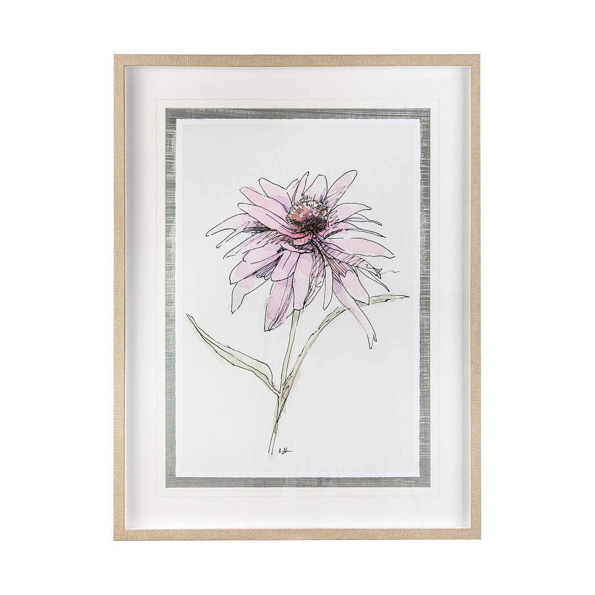 Echinacea I by Panpan Zhang a Framed Art Print Matted under Glass by Mercana at Eve Furniture