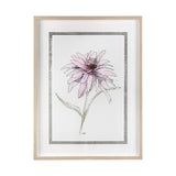 Echinacea I by Panpan Zhang a Framed Art Print Matted under Glass by Mercana at Eve Furniture