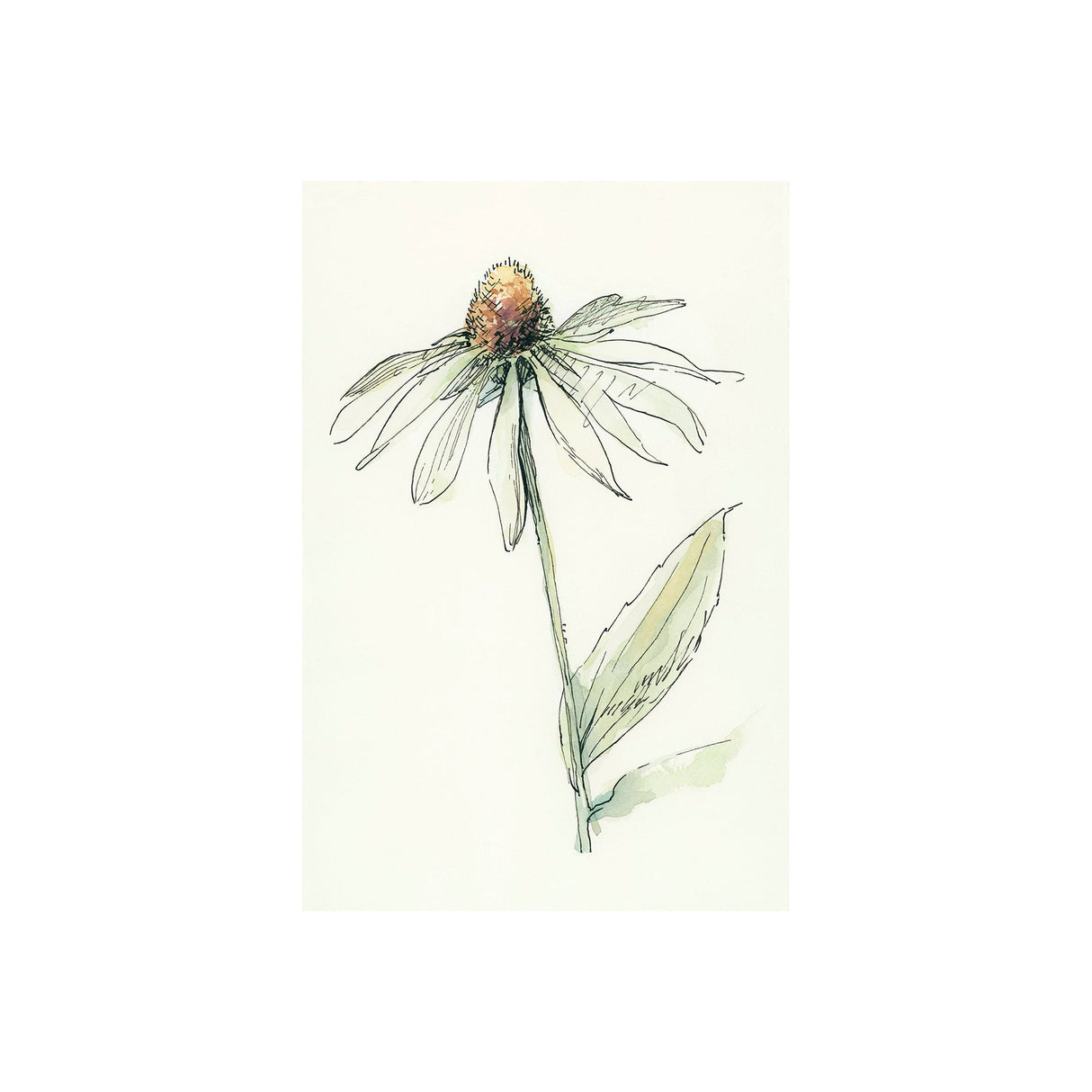 Echinacea II by Mercana Studio a Hand Embellished Textured Canvas by Mercana at Eve Furniture