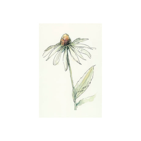Echinacea II by Mercana Studio a Hand Embellished Textured Canvas by Mercana at Eve Furniture