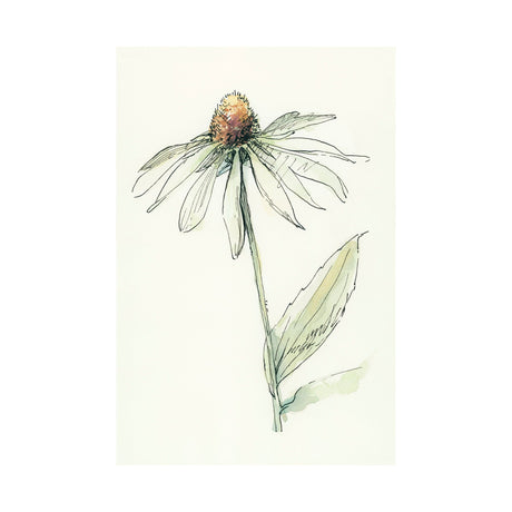 Echinacea II by Mercana Studio a Hand Embellished Textured Canvas by Mercana at Eve Furniture