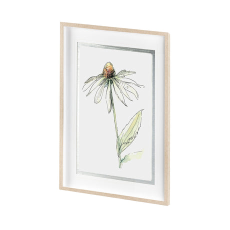 Echinacea II by Panpan Zhang a Framed Art Print Matted under Glass by Mercana at Eve Furniture