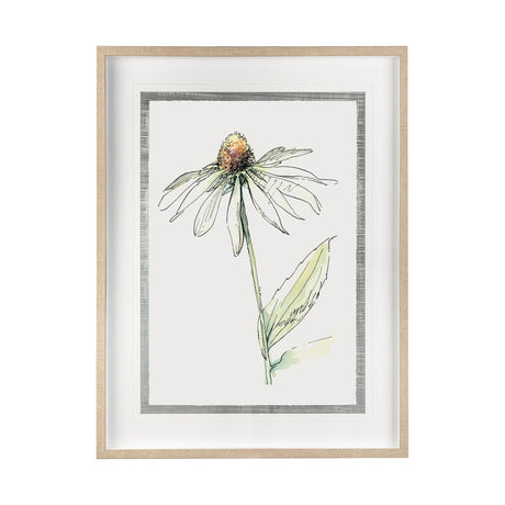 Echinacea II by Panpan Zhang a Framed Art Print Matted under Glass by Mercana at Eve Furniture