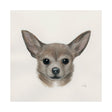 Eddie (Yorkie 1) by Mercana Studio a Hand Embellished Textured Canvas by Mercana at Eve Furniture