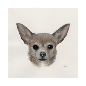 Eddie (Yorkie 1) by Mercana Studio a Hand Embellished Textured Canvas by Mercana at Eve Furniture