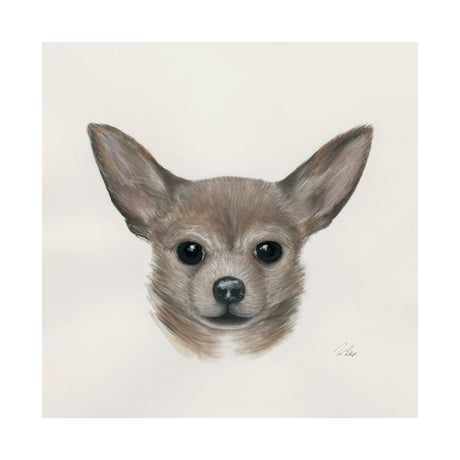 Eddie (Yorkie 1) by Mercana Studio a Hand Embellished Textured Canvas by Mercana at Eve Furniture