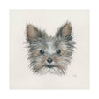 Eddie (Yorkie 1) by Mercana Studio a Hand Embellished Textured Canvas by Mercana at Eve Furniture