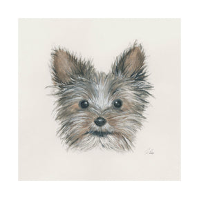 Eddie (Yorkie 1) by Mercana Studio a Hand Embellished Textured Canvas by Mercana at Eve Furniture