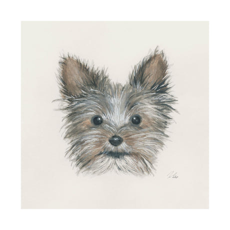 Eddie (Yorkie 1) by Mercana Studio a Hand Embellished Textured Canvas by Mercana at Eve Furniture